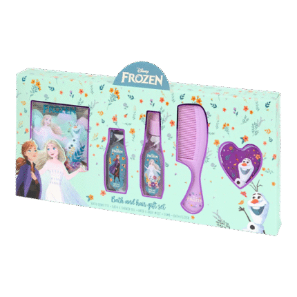 Coffret cadeau La reine des neiges