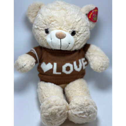 Peluche ours avec Sweatshirt