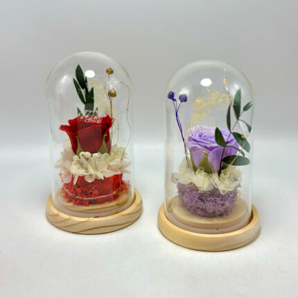 Cloche décorative lumineuse avec une rose à l’intérieur