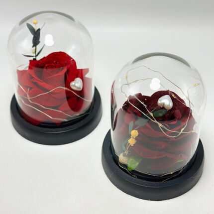 Rose rouge éternelle sous cloche