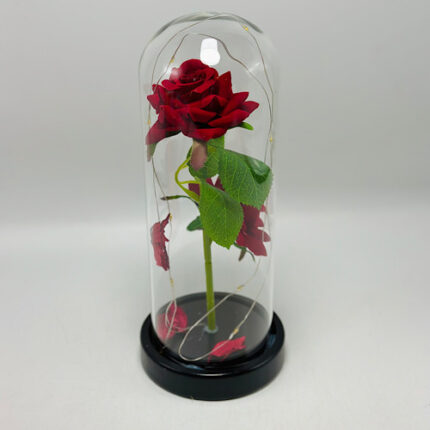 Cloche décorative lumineuse avec une rose à l’intérieur