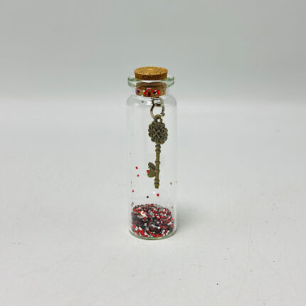 Petite bouteille de voeux avec clés