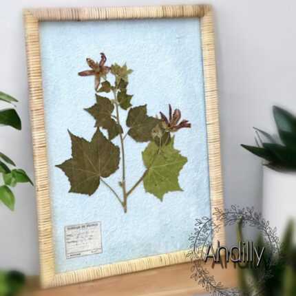 Cadre Feuille d'Arbre