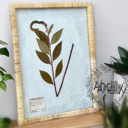 Cadre Feuille d'Arbre Tropicale