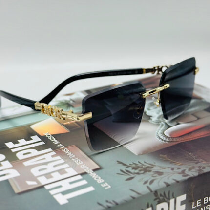 Lunette Dior