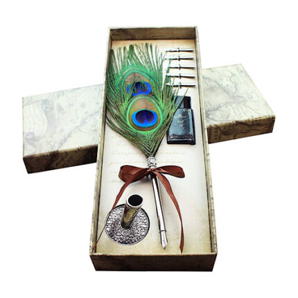 Coffret cadeau de stylo à plume d'oie antique WD