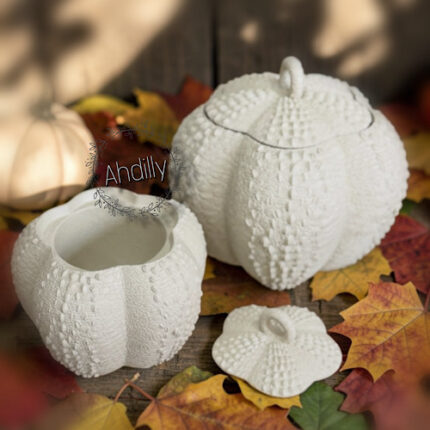 Duo de bonbonnières citrouille & porte-mouchoirs – Collection Automne